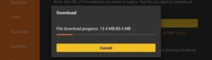 FireStick 9